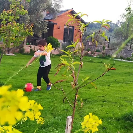Villa Yueksek Vadi Kemalpasa (Izmir)